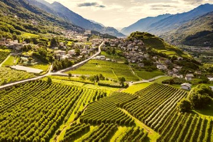 Addison, 27, a dark blonde blue-eyed caucasian companion based in Berbenno di Valtellina. Offering A-Level, Travel Companion, Dinner Date, BDSM, Prostate Mas...