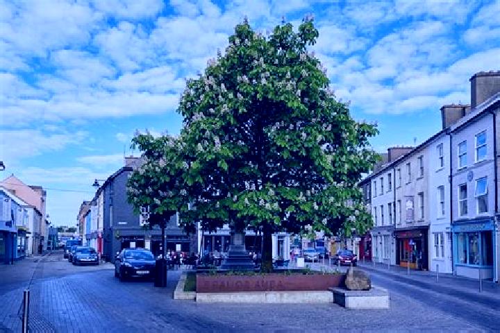 Addison, 27 — Escort in Clonakilty, Ireland