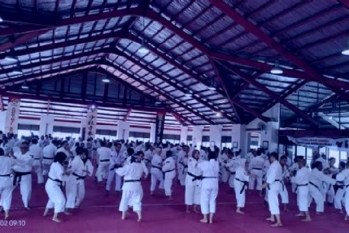 Addison, 27 — Escort in Kempo, Indonesia