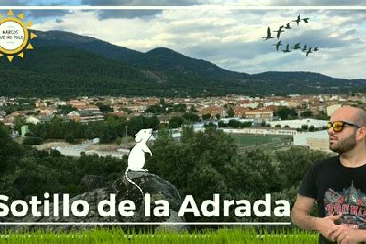 Addison, 27 — Escort in Sotillo de la Ribera, Spain