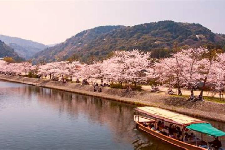 Addison, 27 — Escort in Uji, Japan