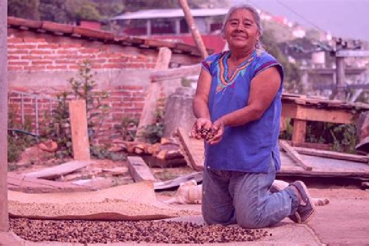 Addison, 27 — Escort in Villa Talea de Castro, Mexico
