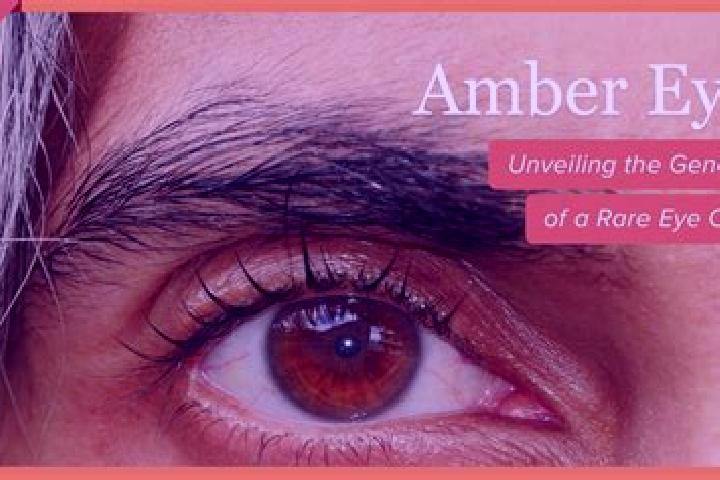 Addison, 28, a red amber-eyed mediterranean companion based in Ramos West. Offering Massage, Domination, A-Level, Dinner Date. Available for incall and outca...
