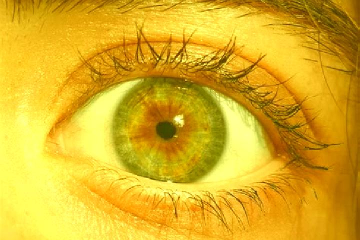Addison, 28, a red hazel-eyed mediterranean companion based in Armenis. Offering Massage, CIM, Domination, OWO, Tantra. Available for incall and outcall, ove...
