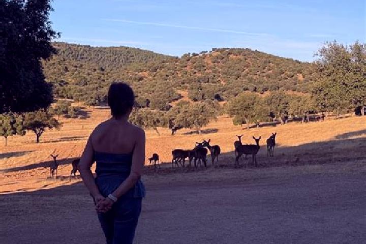 Addison, 28 — Escort in Aldeaquemada, Spain
