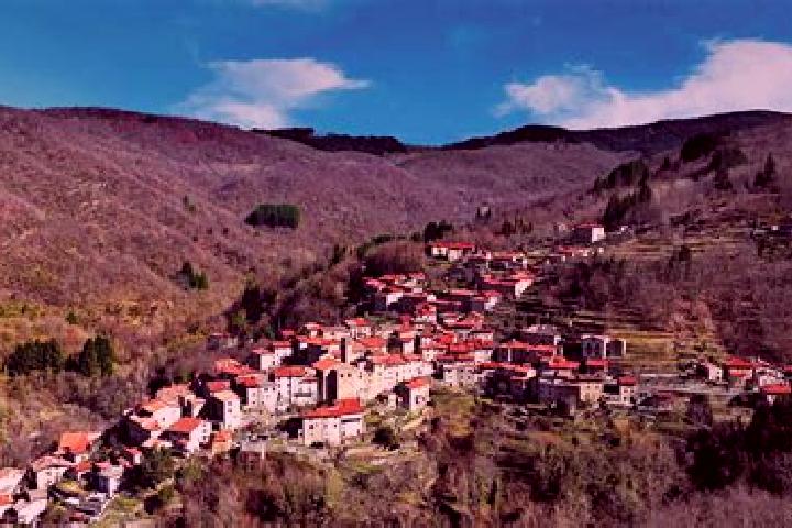 Addison, 28 — Escort in Ortignano Raggiolo, Italy