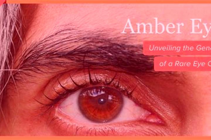 Addison, 29, a black amber-eyed slavic companion based in Bagh-e Malek. Offering 69, Domination, Fetish. Available for incall and outcall, overnight bookings...