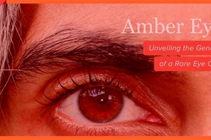 Addison, 29, a red amber-eyed middle eastern companion based in Llangain. Offering 69, OWO, Prostate Massage. Available for incall and outcall, day and eveni...
