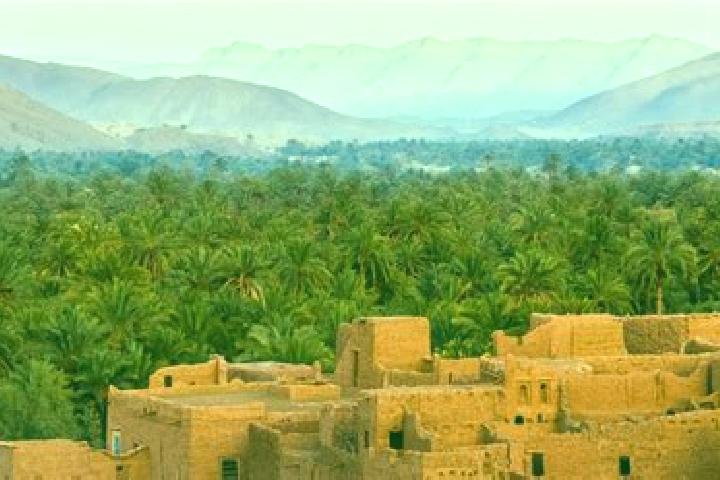 Addison, 29 — Escort in Karia Ba Mohamed, Morocco