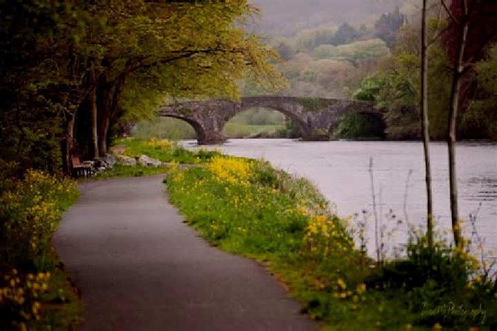 Addison, 29 — Escort in Kilsheelan, Ireland