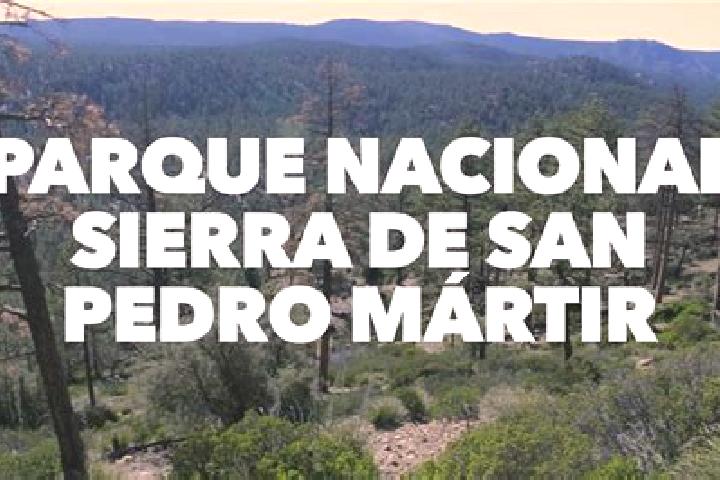 Addison, 29 — Escort in San Pedro Martir, Mexico