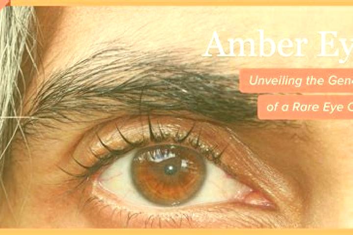 Addison, 30, a red amber-eyed mixed companion based in Bohoubli. Offering Massage, Domination, A-Level. Available for incall and outcall, day and evening dates.