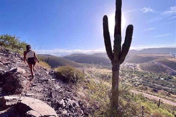 Addison, 30 — Escort in Cerro de la Esperanza, Mexico