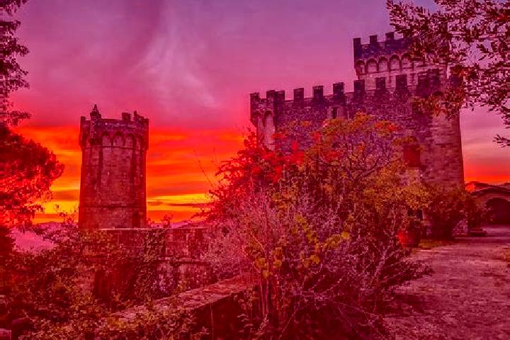 Addison, 30 — Escort in Colombella, Italy