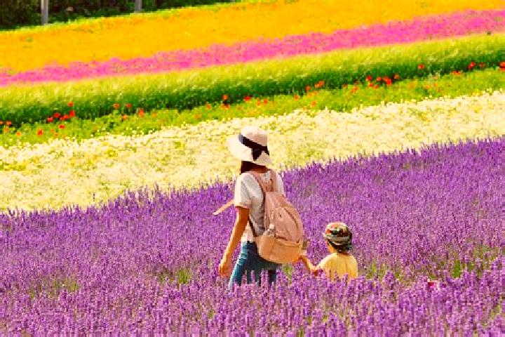 Addison, 30 — Escort in Furano, Japan