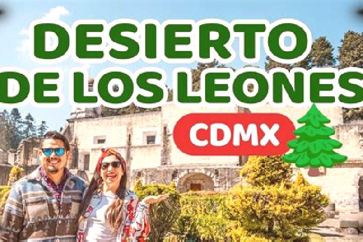 Addison, 30 — Escort in Mesa de los Leones, Mexico