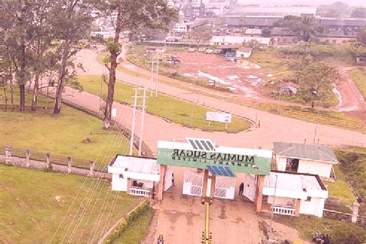 Addison, 30 — Escort in Mumias, Kenya