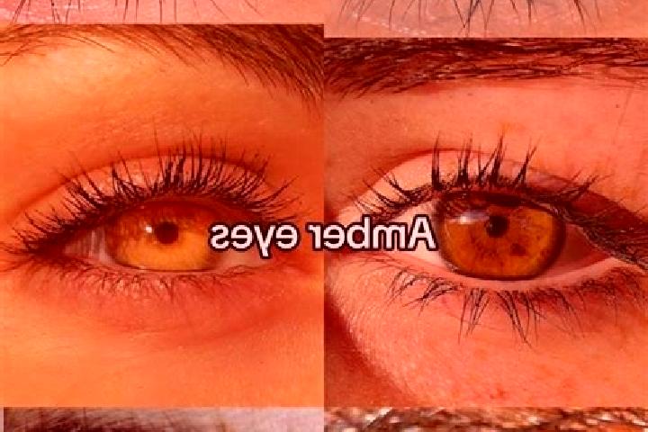 Addison, 31, a chestnut amber-eyed mixed companion based in Neutillmitsch. Offering Prostate Massage, BDSM, Couples, Roleplay. Available for incall and outca...