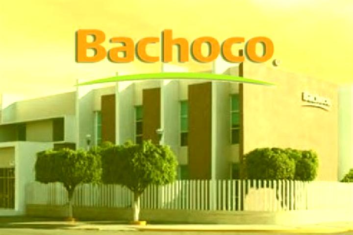 Addison, 31 — Escort in Bachoco, Mexico