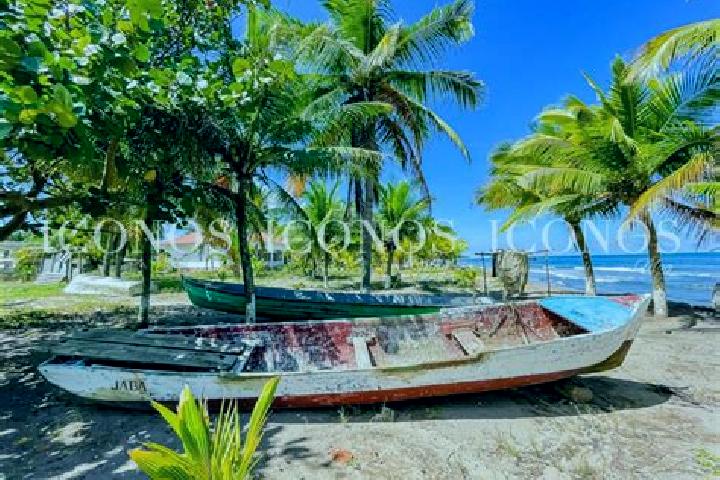 Addison, 31 — Escort in Baracoa, Honduras