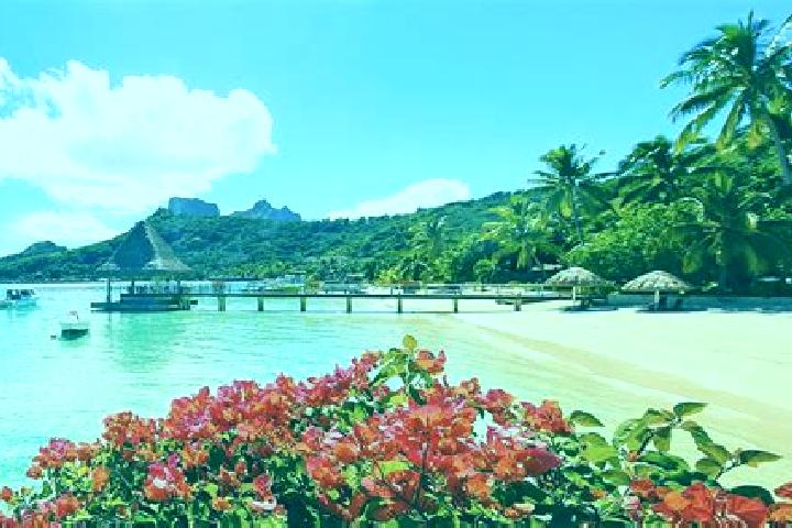 Addison, 31 — Escort in Fare, French Polynesia