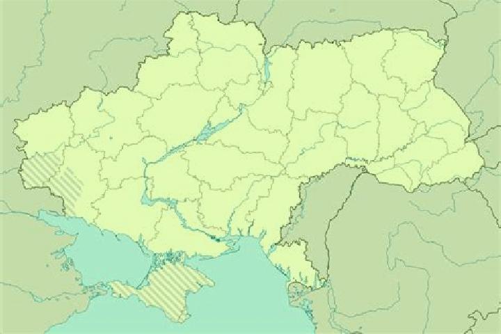 Addison, 31 — Escort in Mala Buda, Ukraine