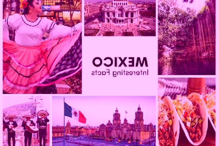 Addison, 31 — Escort in Necoxtla, Mexico