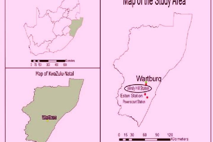 Addison, 31 — Escort in Wartburg, South Africa