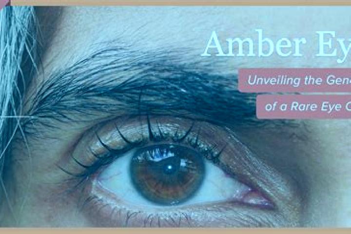 Addison, 32, a black amber-eyed mixed companion based in Boneng. Offering Duos, BDSM, Erotic Massage, GFE. Available for incall and outcall, day and evening ...