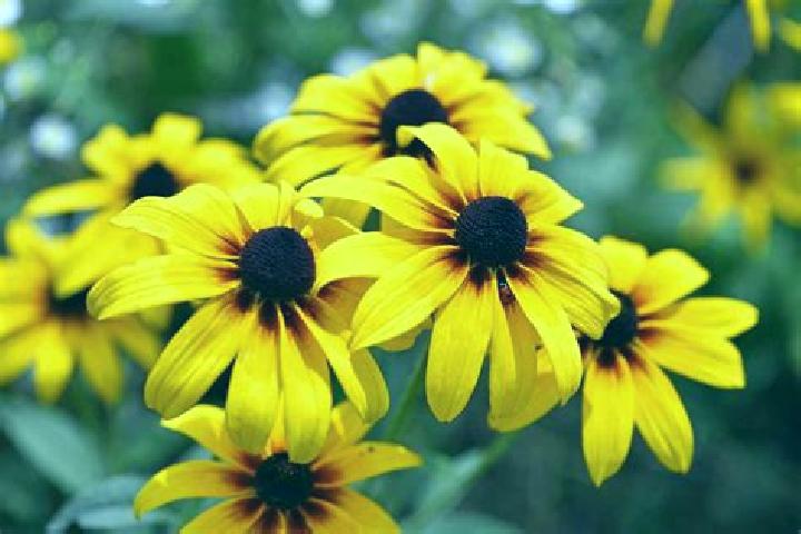 Addison, 32, a black grey-eyed slavic companion based in Stromiec. Offering Travel Companion, BDSM, Domination, Dinner Date, Roleplay. Available for incall a...