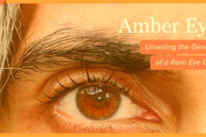 Addison, 32, a red amber-eyed indian companion based in Vallegianno. Offering Duos, CIM, Massage. Available for incall and outcall, day and evening dates.