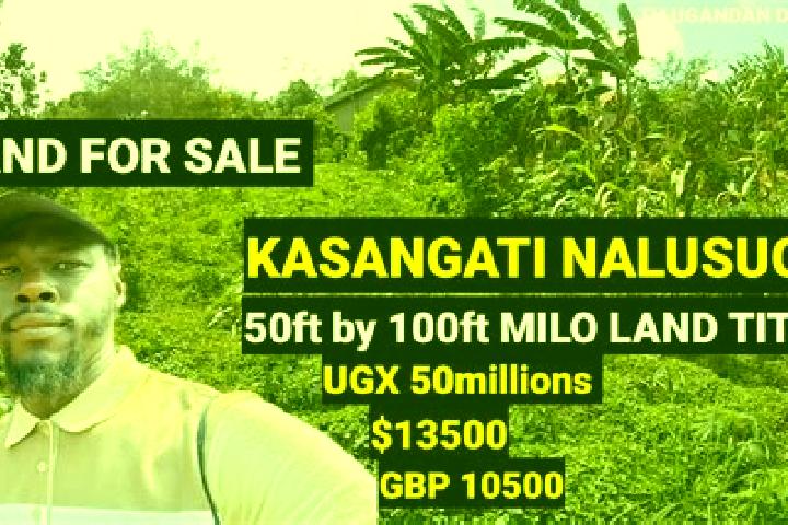 Addison, 32 — Escort in Kaabong, Uganda