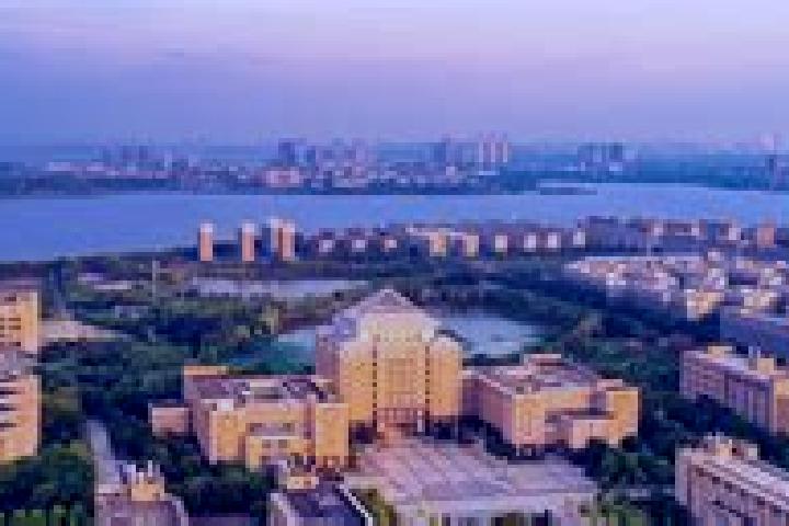 Addison, 32 — Escort in Nianqiao, China