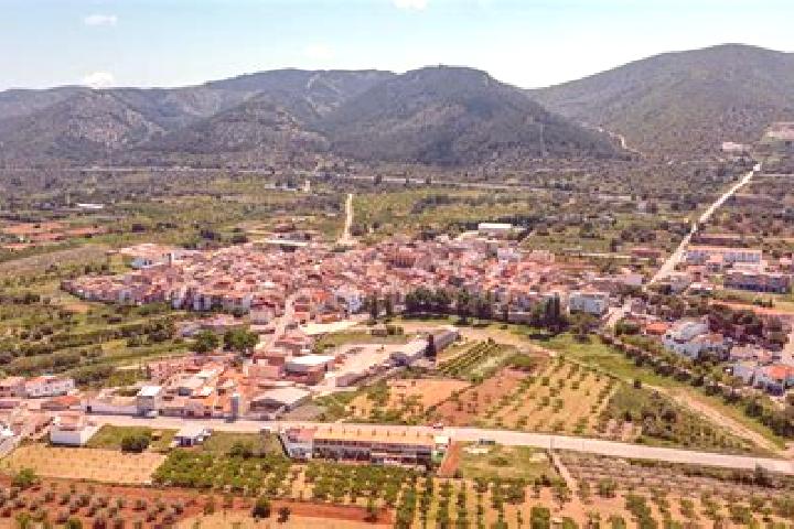 Addison, 32 — Escort in Santa Magdalena de Pulpis, Spain