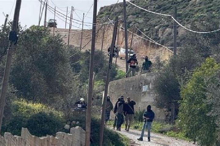 Addison, 32 — Escort in Talfit, Palestine