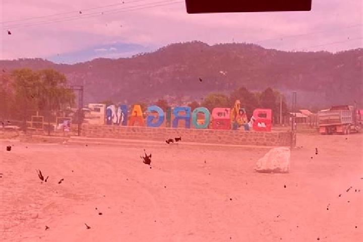 Addison, 33 — Escort in Baborigame, Mexico