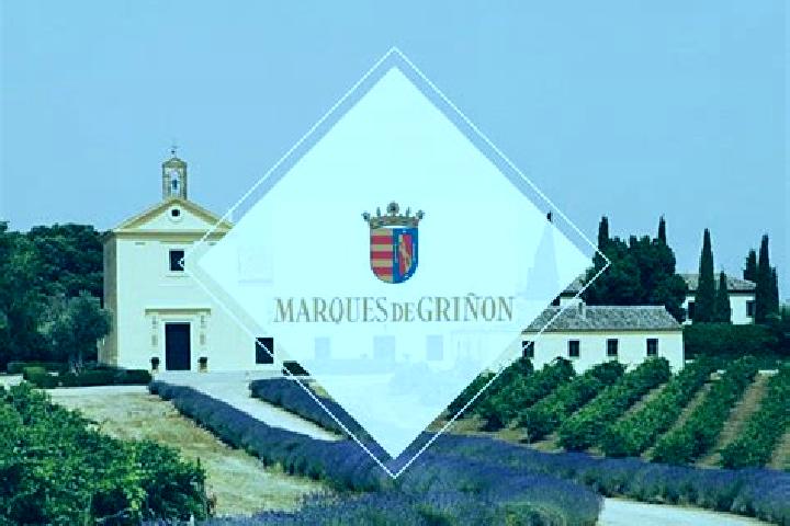 Addison, 33 — Escort in Grinon, Spain