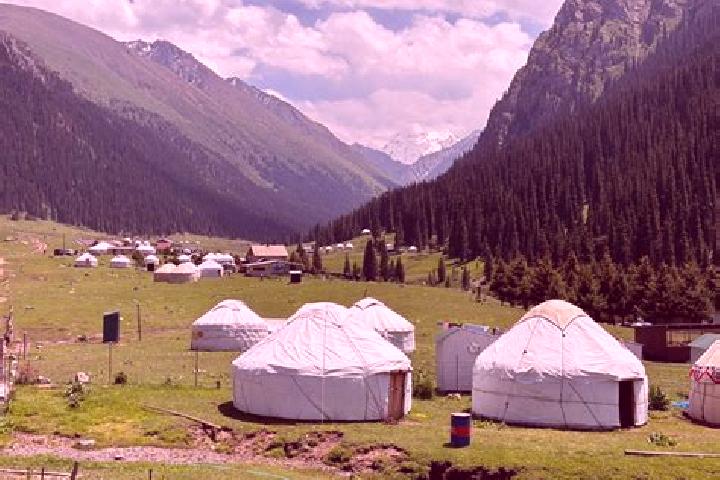 Addison, 33 — Escort in Kyzyl-Jol, Kyrgyzstan
