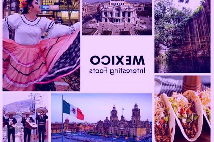 Addison, 33 — Escort in Xonacayojca, Mexico