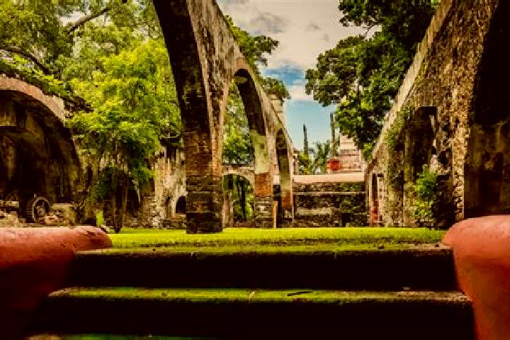 Addison, 34 — Escort in Chiconcuac, Mexico