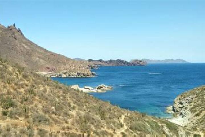 Addison, 34 — Escort in El Carricito, Mexico