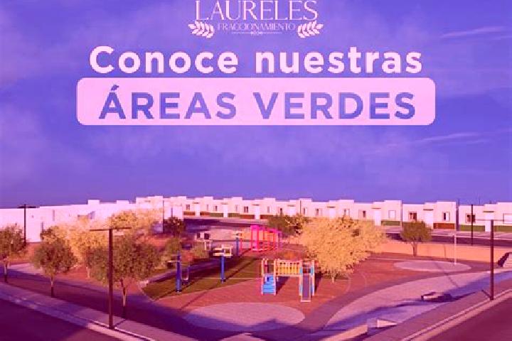 Addison, 34 — Escort in Fraccionamiento Laureles Erendira, Mexico