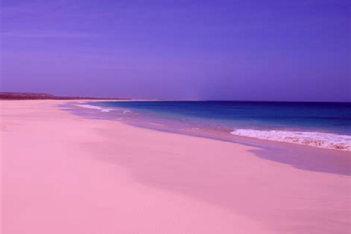 Addison, 34 — Escort in Ponta de Agua, Cape Verde