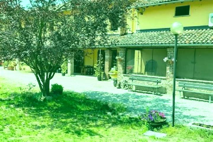 Addison, 34 — Escort in Velezzo Lomellina, Italy