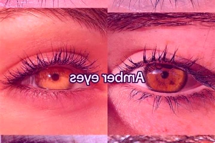 Addison, 35, a chestnut amber-eyed caribbean companion based in Anchialos. Offering GFE, OWO, Couples. Available for incall and outcall, overnight bookings a...