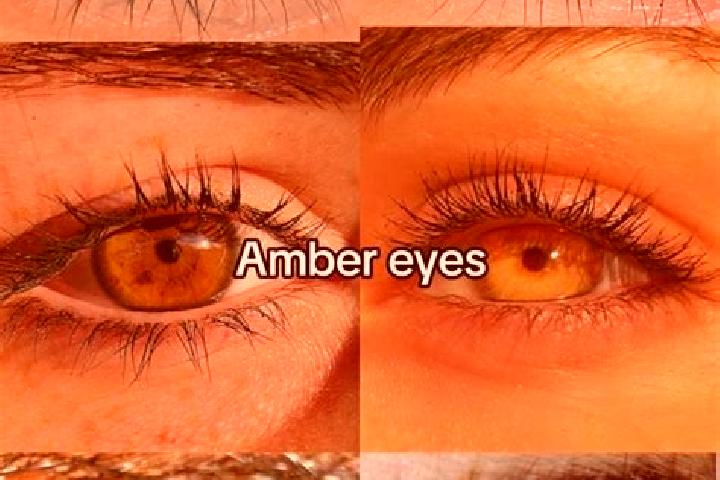 Addison, 35, a chestnut amber-eyed european companion based in Whitinsville. Offering Tantra, CIM, Overnight. Available for incall and outcall, day and eveni...