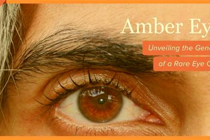 Addison, 35, a dark blonde amber-eyed indian companion based in Jalor. Offering Domination, Fetish, Overnight. Available for incall and outcall, overnight bo...