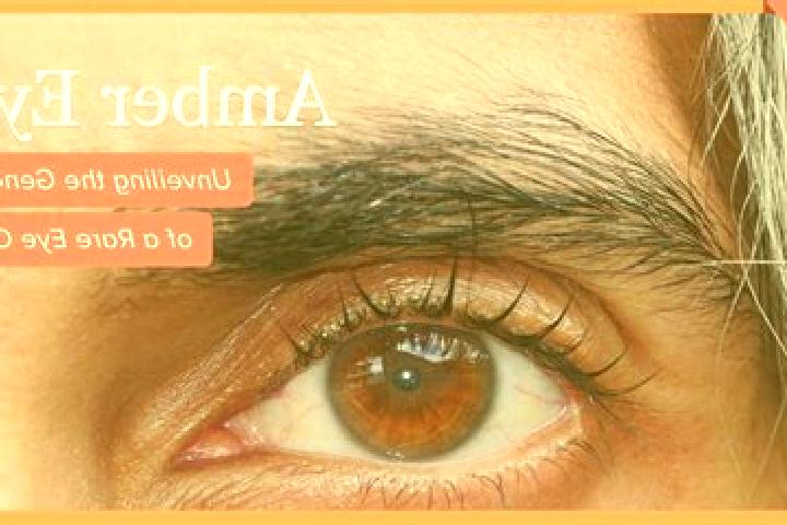 Addison, 35, a red amber-eyed caucasian companion based in Triunfo. Offering 69, Prostate Massage, BDSM. Available for incall and outcall, overnight bookings...