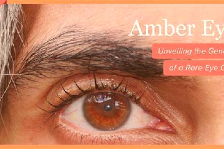 Addison, 35, a red amber-eyed mixed companion based in Longgui. Offering Erotic Massage, Domination, Fetish. Available for incall and outcall, overnight book...