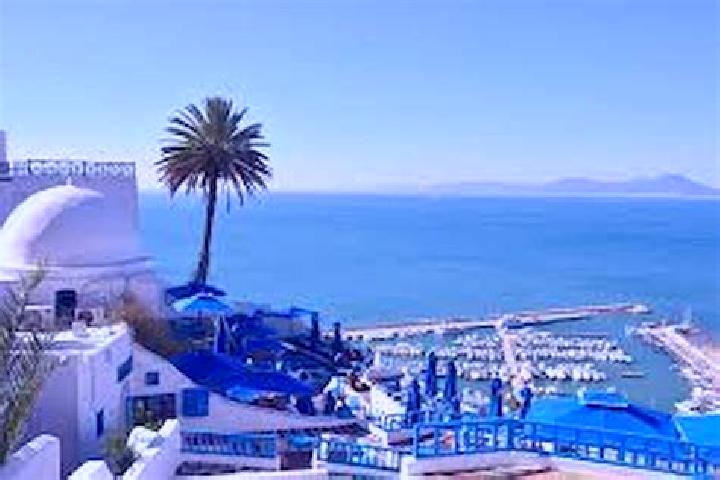 Addison, 35, a red blue-eyed mediterranean companion based in Sidi Bou Ali. Offering A-Level, Striptease, Party Girl. Available for incall and outcall, overn...